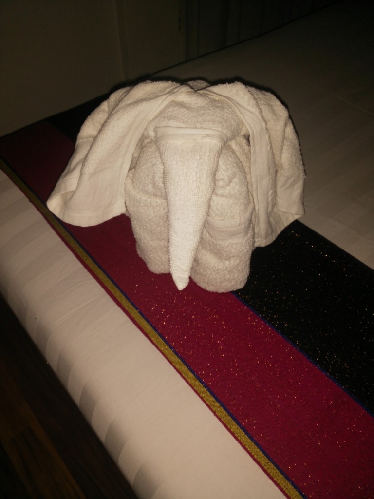 Random pic - the cutest towel elephant I found on my bed at my latest hotel. 