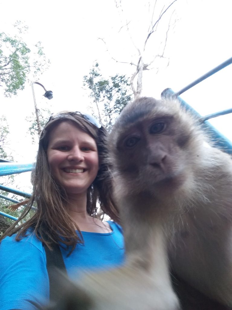 Split second before the monkey attempted to eat my phone.