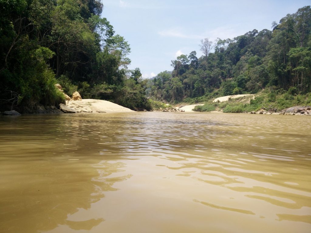 View from a boat in Taman Negara.