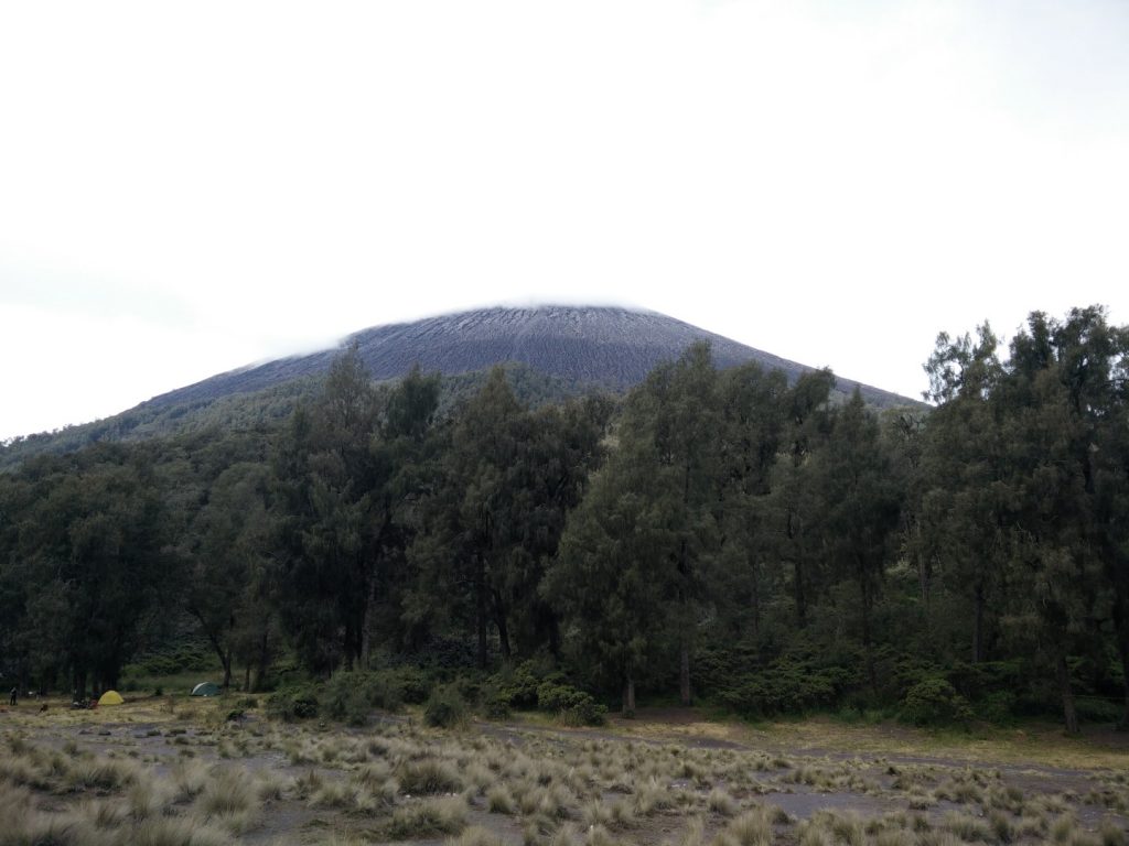 Semeru's peak, hidden in the clouds. We climbed that ^^