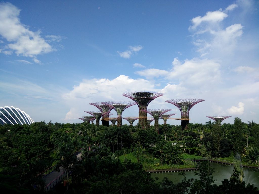 The supertree grove at the gardens by the bay. 