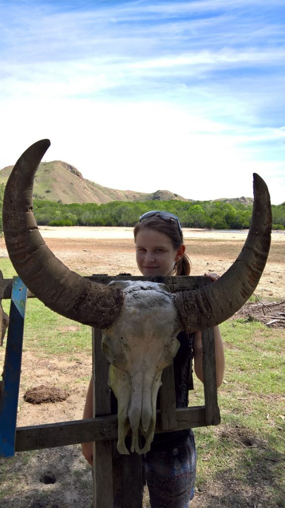 Me with one of the buffalo skulls at Rinca.
