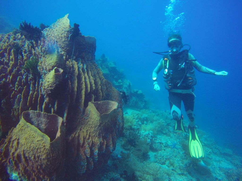 Me with one of the giant corals
