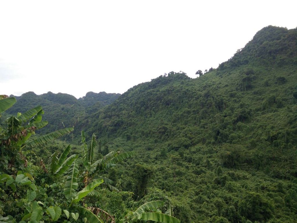 Phong Nha's countryside. Can't complain. 